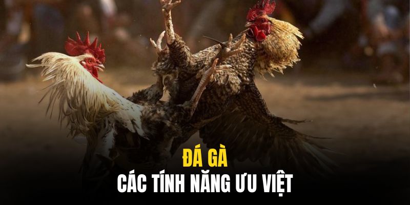 Những lợi thế hàng đầu mà mọi hội viên sẽ được tận hưởng